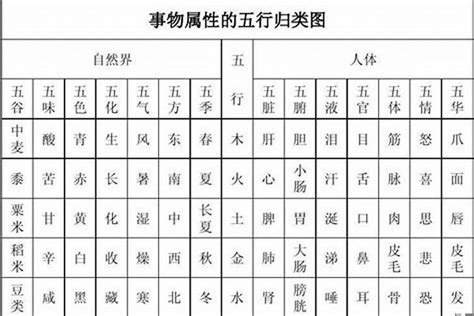 东五行|东字五行属性详解